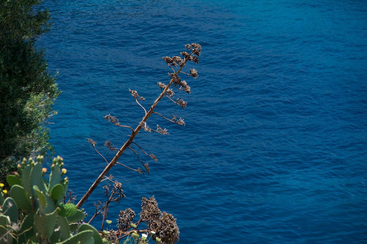 Villa Apoplous With Pool Asos Exterior photo